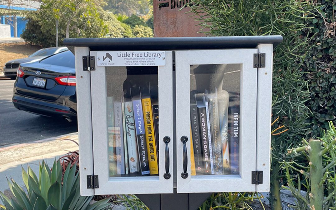 ARRAY Little Free Library