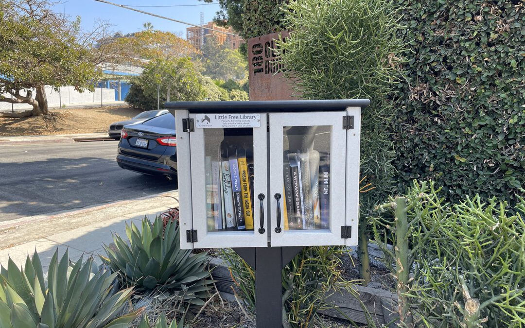 ARRAY Little Free Library